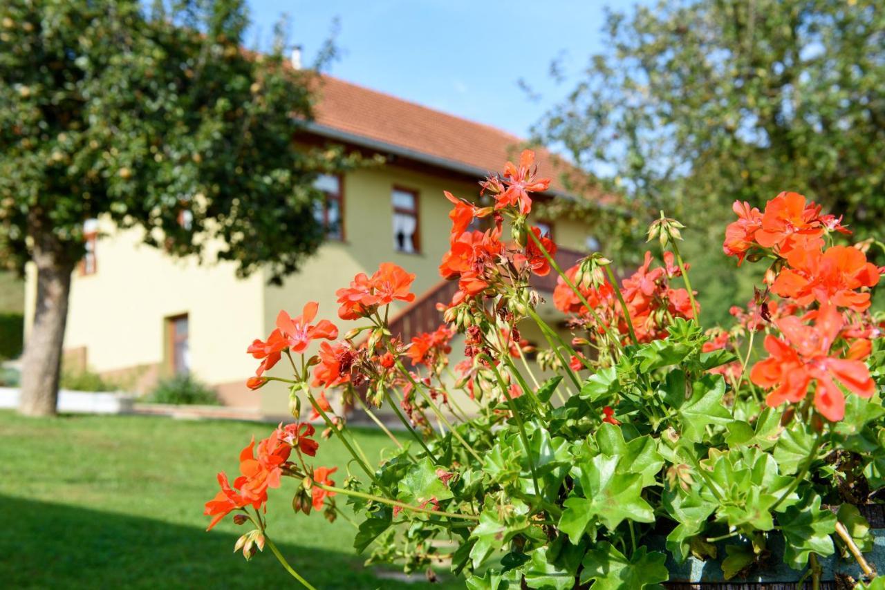 Ruralna Kuca 'Villa Zagorka' Za Odmor Sa Bazenom I Bocalistem Donja Pacetina ภายนอก รูปภาพ