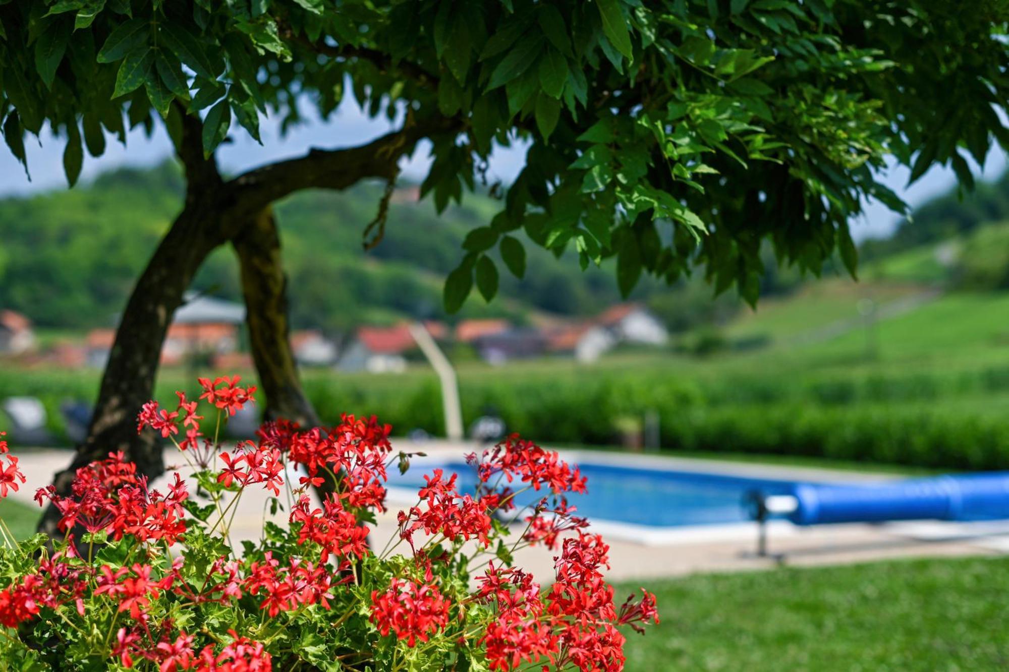 Ruralna Kuca 'Villa Zagorka' Za Odmor Sa Bazenom I Bocalistem Donja Pacetina ภายนอก รูปภาพ